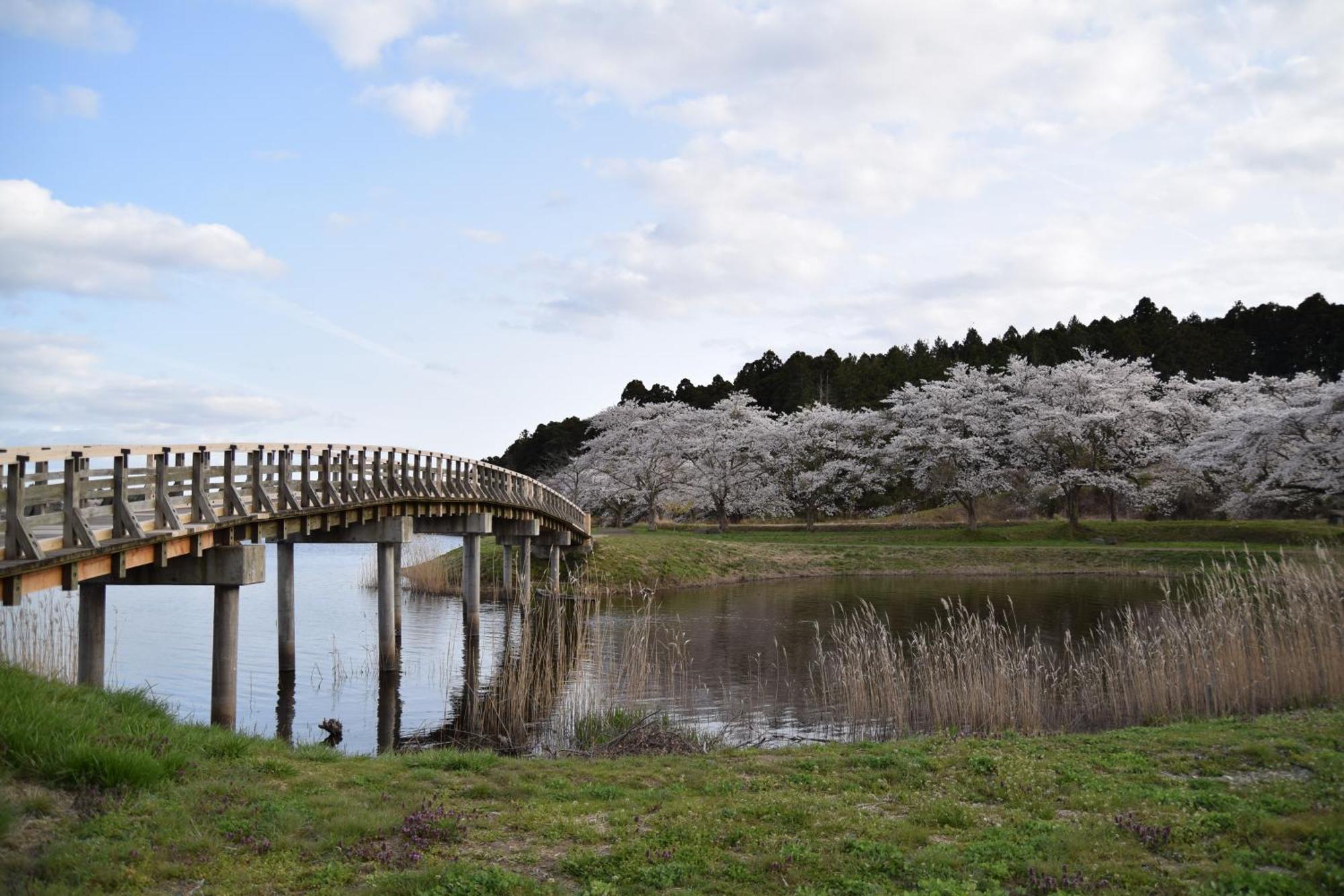 Minami Sanriku Hotel kanyo Shizugawa Exterior foto